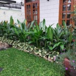 Biệt thự khu D2, Bình Thạnh, DT 7x19.3m, Hầm 4 Tầng, chỉ 26 tỷ
