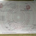 Biệt thự Nguyễn Xí, 10x18m, chỉ 17.2 tỷ, 3 tầng, tiện phân lô, xây ở, cho thuê