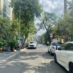 Khuôn đất đẹp, DT 12.55x19m, MT P.Đa Kao, Q.1, khu văn phòng, biệt thự sang trọng