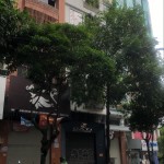 Mặt Tiền Chu Mạnh Trinh, 6 tầng, Tài Sản Khan Hiếm, Đẳng cấp