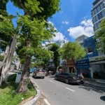 Mặt Tiền Nguyễn Thị Minh Khai, 9x10m, 4 tầng, chỉ 33 tỷ, Quá Ngon