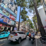 Mặt tiền trần Quang Khải, 270 triệu/m2. 220m2 chỉ 60 tỷ, Giá Quá Tốt