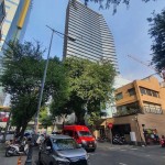 MT Lê Thánh Tôn, vị trí đẹp, thương hiệu Bến Nghé, ngang 5m khan hiếm, HĐT 160tr/th