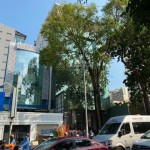 Nhà mới 6 Tầng + Thang máy, MT Điện Biên Phủ, Q.3, DT 4.3x18m