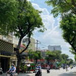 Tòa nhà 6 Tầng Mới (có Hầm), MT Trường Sơn, Quận 10, DT 8x30m