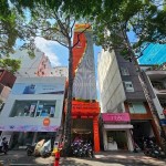 Toà nhà 8 tầng, MT Tôn Thất Tùng, Q.1, vị trí gần Bùi Thị Xuân