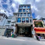 Tòa nhà 9 Tầng Mới, MT Trần Khắc Chân, Q.1, DT 8x23.5m, HĐ thuê 300tr/th
