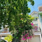 Vị trí đẹp, MT đường số 1 cư xá Chu Văn An, DT 8x18.2m, nhà 4 tầng