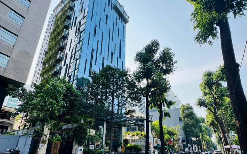 Góc 2 MT Phạm Ngọc Thạch, trục di sản đắt giá, DT 8x20m, HĐT 320tr/th