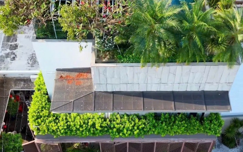 DT 239m2, ngang 11m, trung tâm Tân Định, Q.1, khu xây cao, khai thác tốt