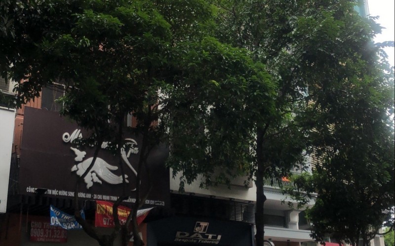 Mặt Tiền Chu Mạnh Trinh, 6 tầng, Tài Sản Khan Hiếm, Đẳng cấp