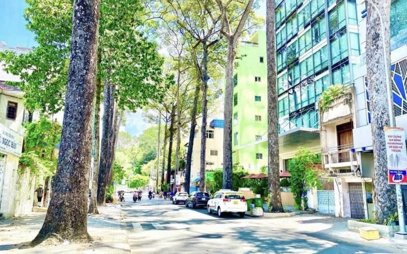 MT Sương Nguyệt Ánh, tuyến thương hiệu Bến Thành, DT 227m2 - 8x20m (NH 16m), sẵn HĐT
